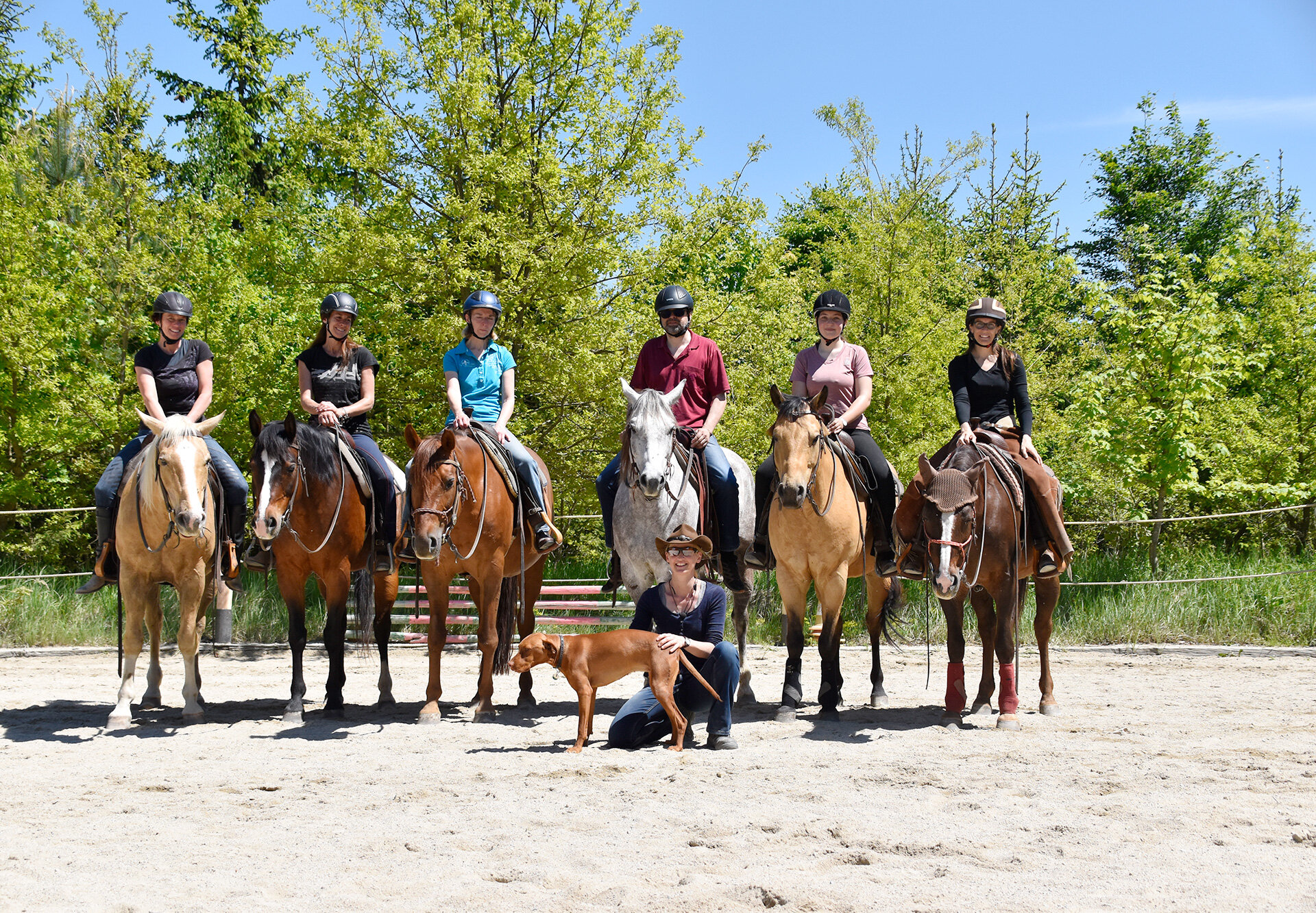 Reiten im Waldviertel