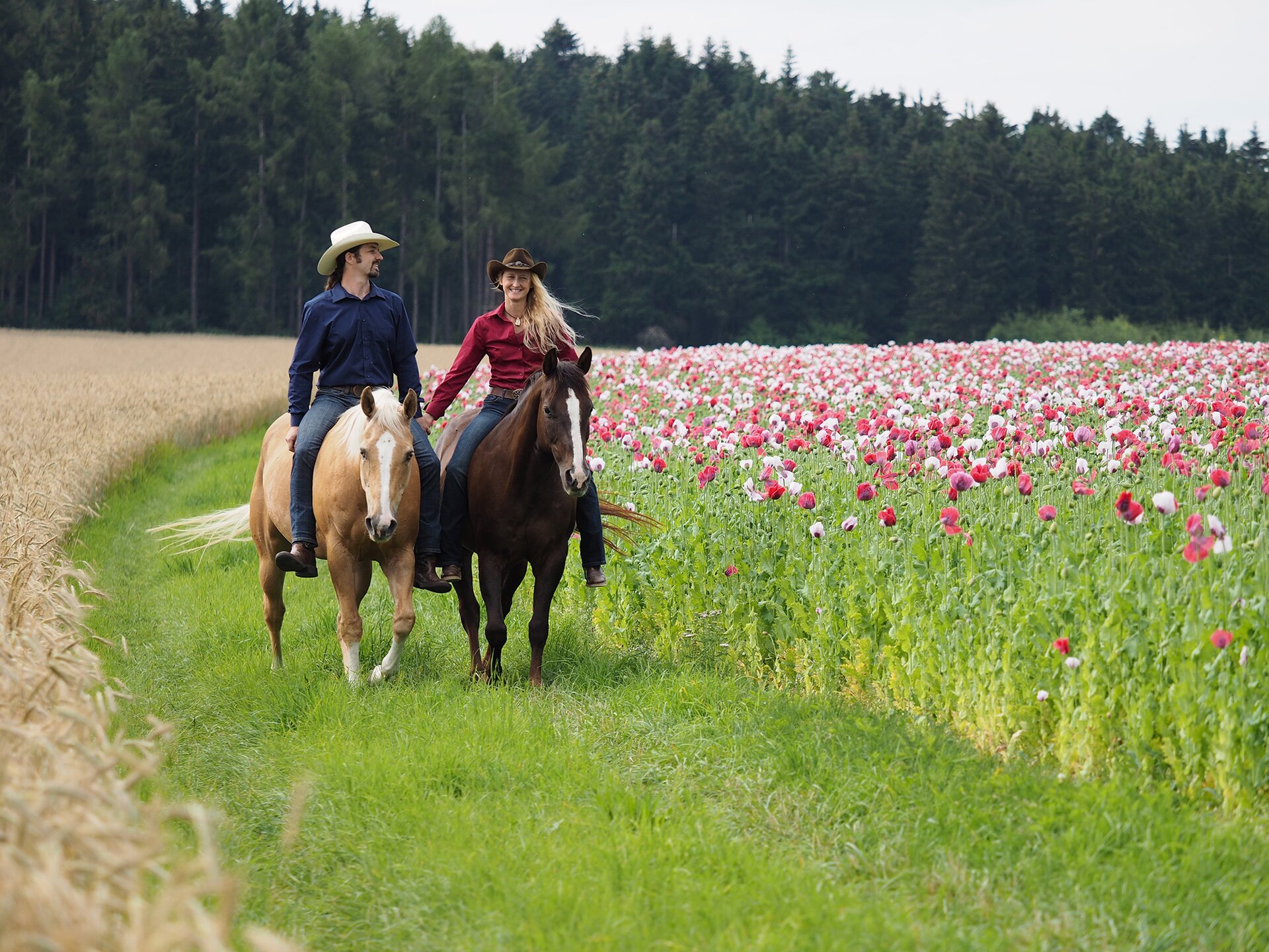 Reiturlaub im Waldviertel