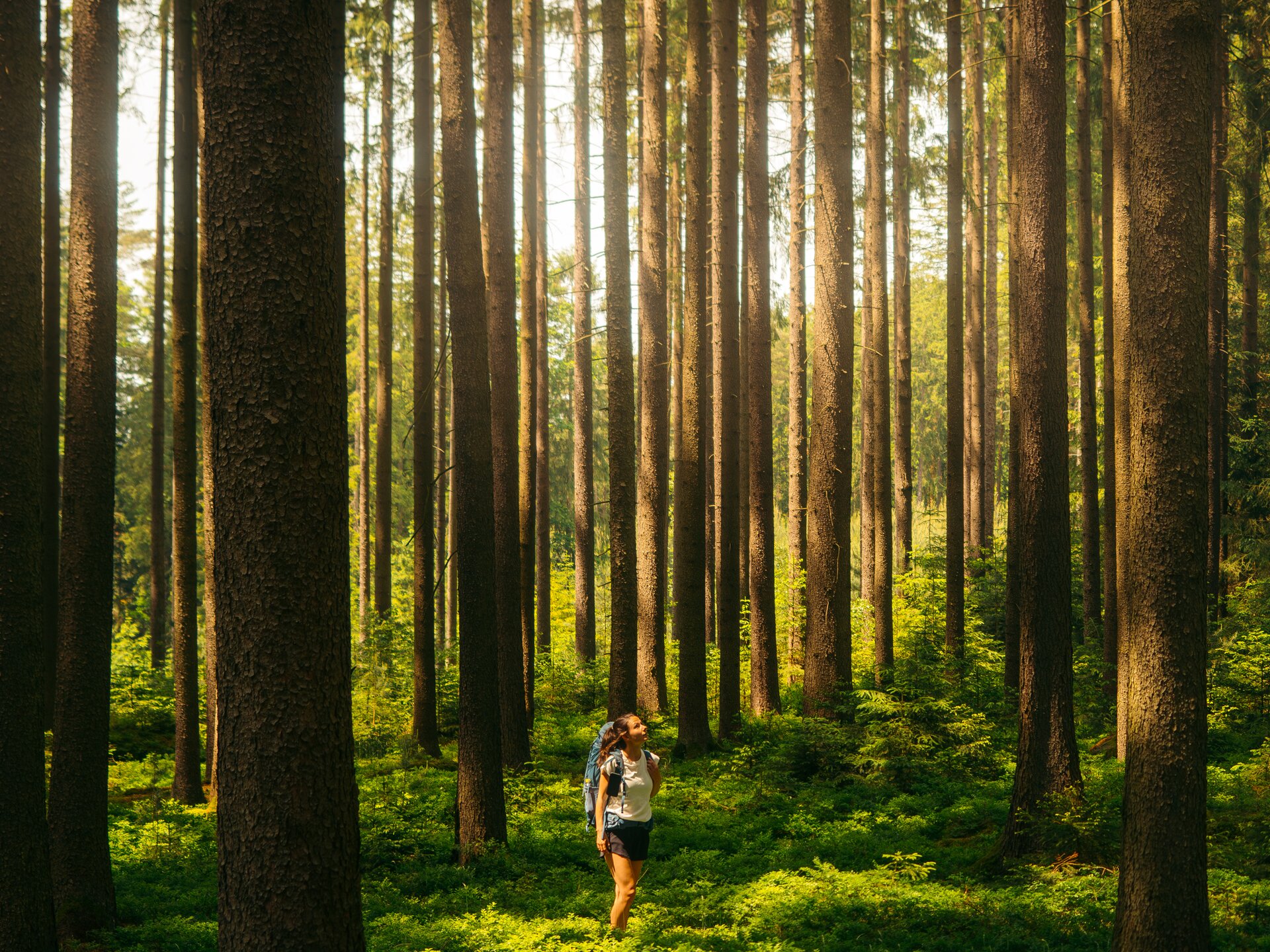 © Waldviertel Tourismus / Melanie Többe