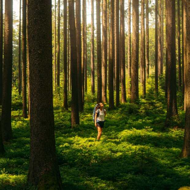 © Waldviertel Tourismus / Melanie Többe