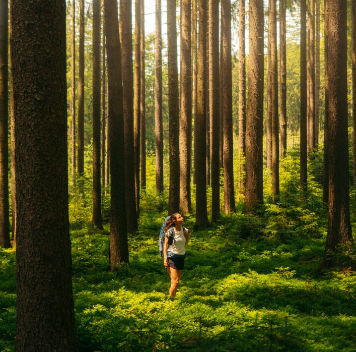 © Waldviertel Tourismus / Melanie Többe