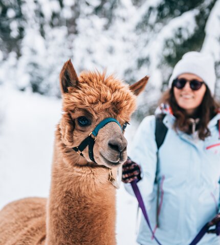 © Waldviertel Tourismus