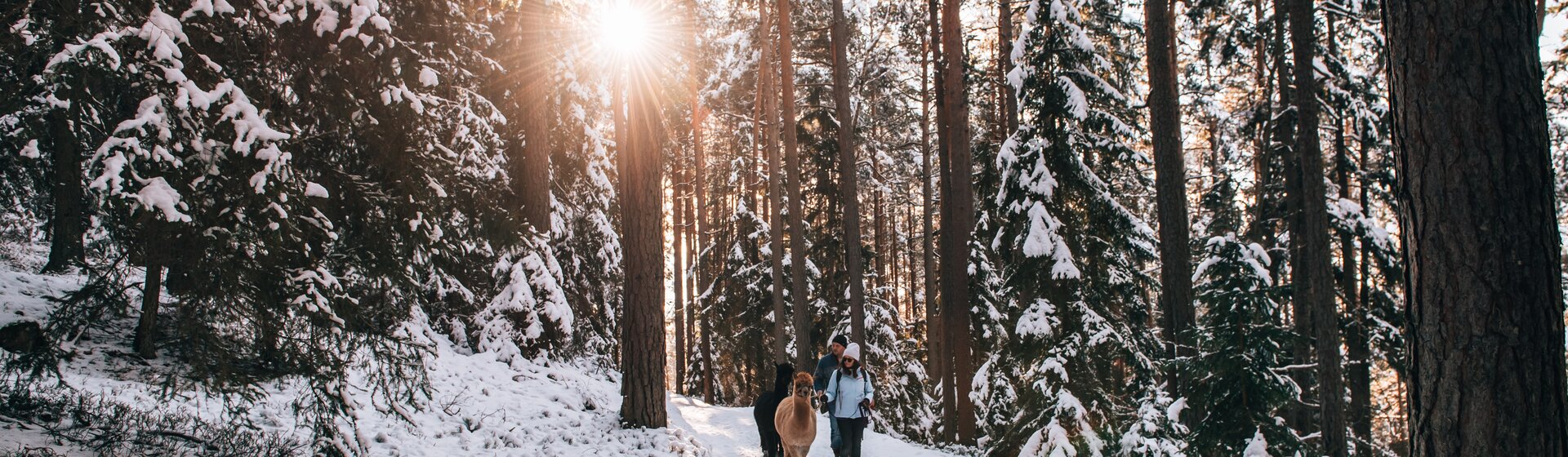 © Waldviertel Tourismus