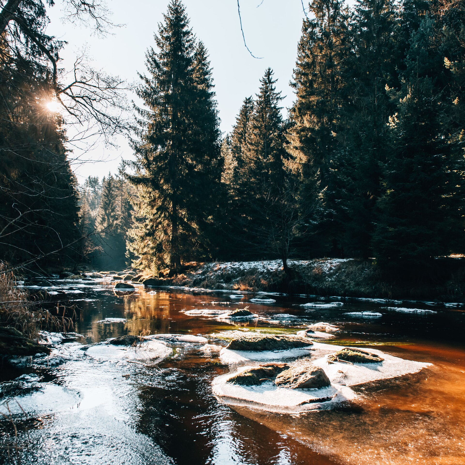 © Waldviertel Tourismus, sommertage.com