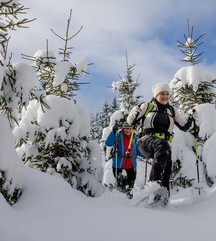 © Waldviertel Tourismus, Kathrin Kerschbaumer