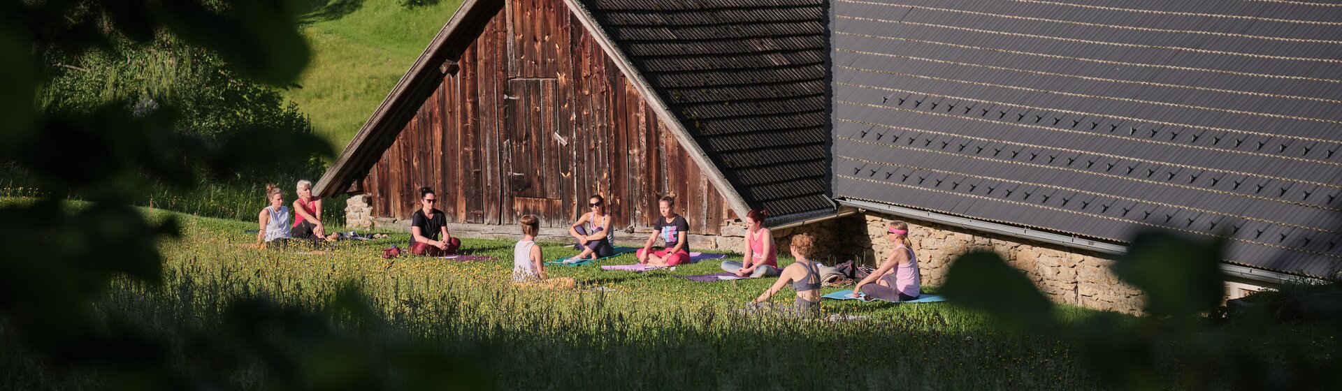 gemeinsames Yoga im Waldviertel