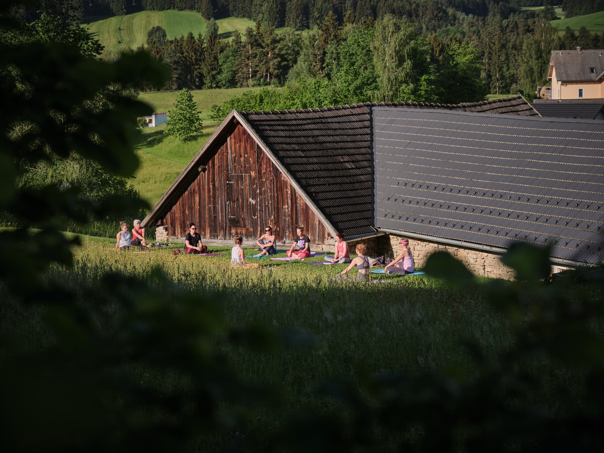 gemeinsames Yoga im Waldviertel