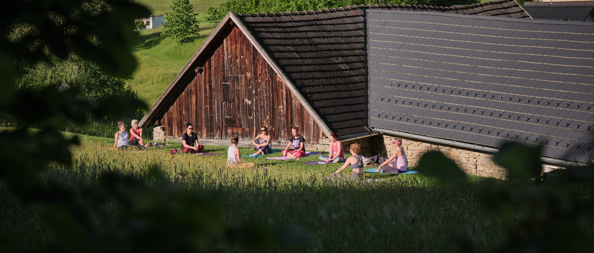 gemeinsames Yoga im Waldviertel